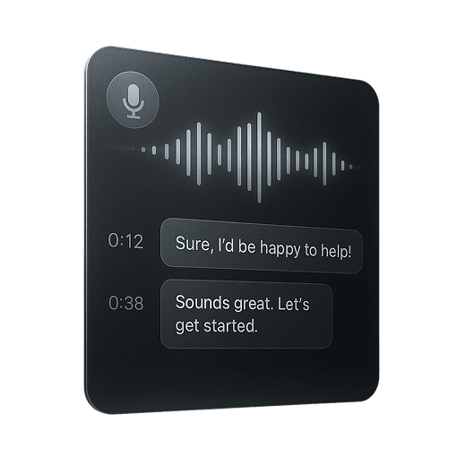 Interview Transcription