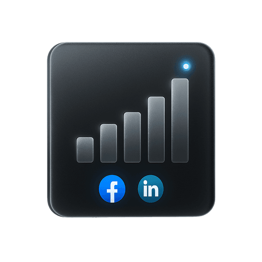 Social Media Advertising.